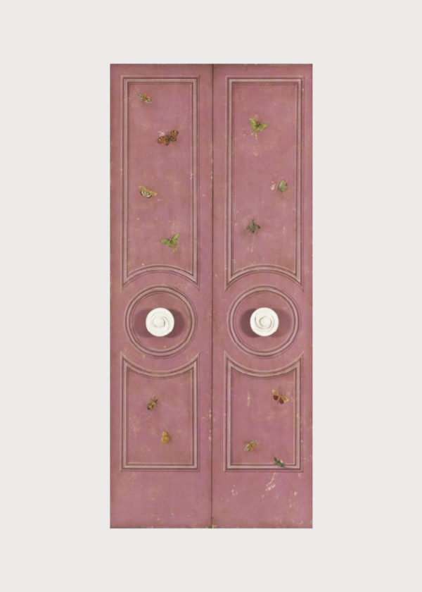 D15 Lille Door
